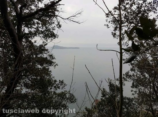Il lago di Bolsena