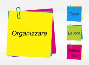 Professional organizer