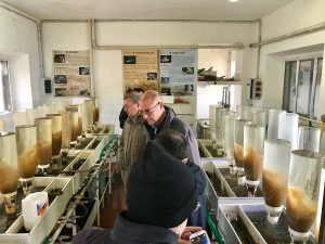 La visita alla filiera della produzione del pesce al lago di Bolsena