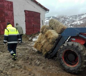 Protezione civile di Viterbo ad Accumoli