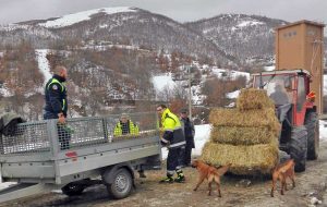 Protezione civile di Viterbo ad Accumoli