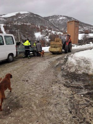 Protezione civile di Viterbo ad Accumoli