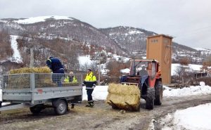 Protezione civile di Viterbo ad Accumoli