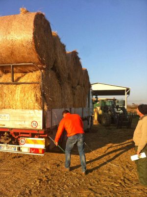 Tarquinia - La Coldiretti in aiuto dei terremotati delle Marche