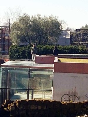 Viterbo - Valel Faul - Centro servizi - Due intrusi sul tetto