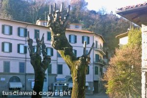 Le potature a Soriano nel Cimino
