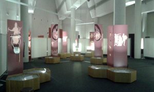 La mostra che farà tappa in Spagna
