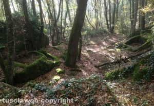 Particolarti del sito archeologico a Bomarzo