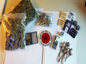 Viterbo - Operazione Peyote - Squadra mobile - La droga sequestrata
