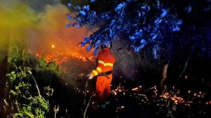 I volontari Aeopc e la polizia spengono l'incendio a Tarquinia