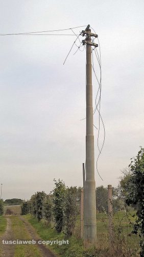 Viterbo - Furto di cavi elettrici in località Volpara