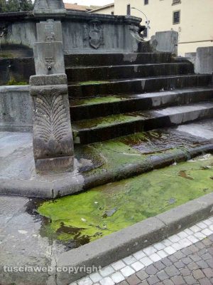 Viterbo - Melma nella fontana di piazza della Rocca