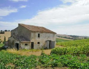 Un fabbricato rurale