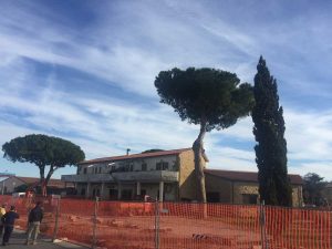 Iniziati i lavori di riqualificazione di via dei Cedri