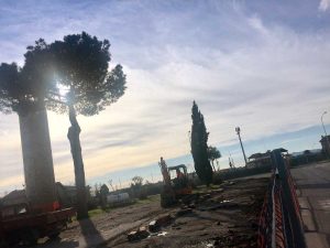 Iniziati i lavori di riqualificazione di via dei Cedri