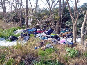 Tarquinia - Rifiuti abbandonati in un terreno