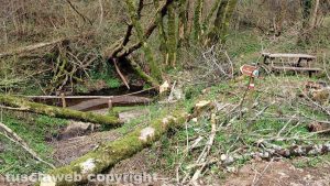 La via Francigena tra Capranica e Sutri