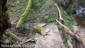 La via Francigena tra Capranica e Sutri 