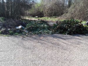 Ronciglione - Pian del fico - Fogliame e rifiuti in mezzo alla strada