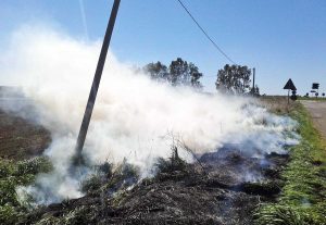 Un incendio