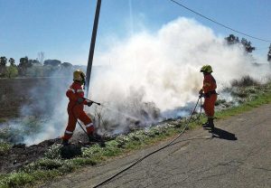 Tarquinia - Incendio sulla Litoranea - Volontari Aeopc al lavoro