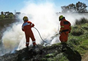 Tarquinia - Incendio sulla Litoranea - Volontari Aeopc al lavoro