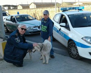 Il salvataggio del cane a Tarquinia