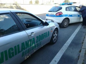 Il salvataggio del cane a Tarquinia