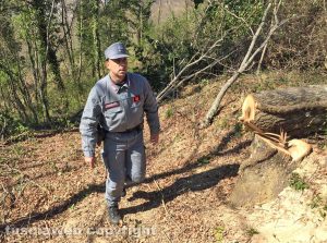 Terni - Boscaiolo di Acquapendente travolto e ucciso da un albero - I soccorritori sul luogo del dramma