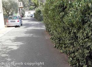 Viterbo - Siepe incolta in via Emilia