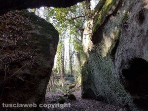 Il sacro bosco a Bomarzo
