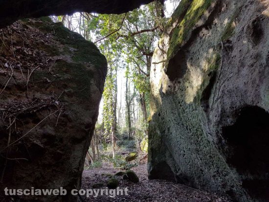 Il sacro bosco a Bomarzo