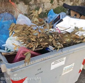 Viterbo - Cassonetti per la plastica in località Merlano