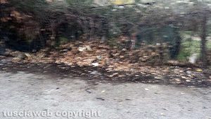 Viterbo - Pian di Legname pulita