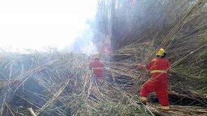 Tarquinia - L'Aeopc in azione