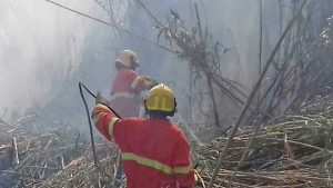 Tarquinia - L'Aeopc in azione