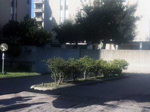 Montalto - Lavori in via Panisperna nel quartiere Enel