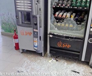 Vandali in azione alla scuola di Bagnaia