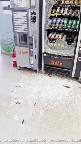 Vandali in azione alla scuola di Bagnaia