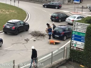 Il carico di legname caduto sulla rotatoria 