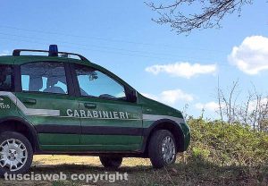 Carabinieri forestali