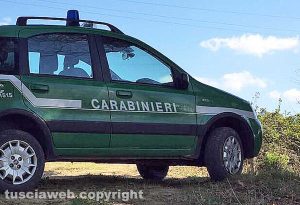 Carabinieri forestali