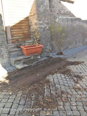 Viterbo - Via Lucchi 