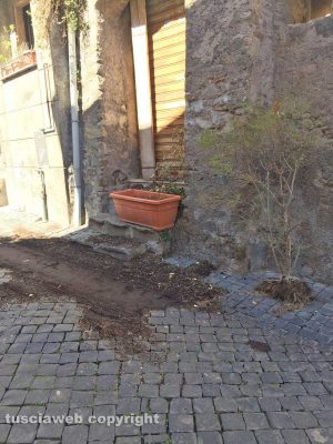 Viterbo - Via Lucchi 