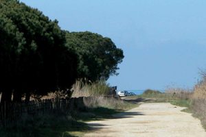 Tarquinia - San Giorgio