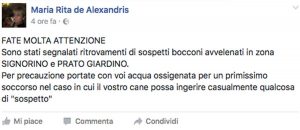 Il post di Maria Rita De Alexandris
