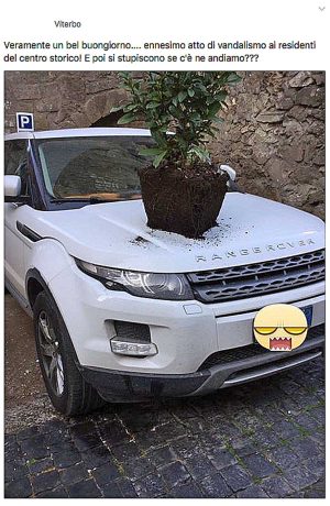 Viterbo - Pianta sul cofano di un'auto a San Pellegrino