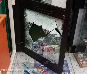 Viterbo - Cassia Nord - Furto al negozio di articoli per animali da compagnia