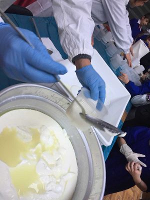Istituto Zooprofilattico e Asl nelle scuole di Viterbo