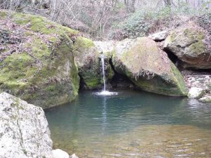 Canale Monterano